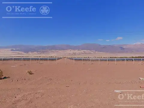 Campo 101 has en Venta Fiambala, Catamarca