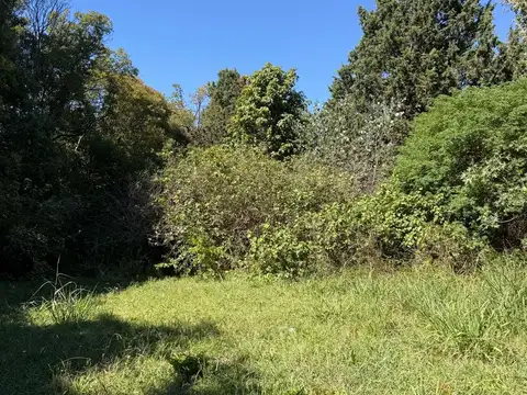 Terreno en Venta 120  mts Fondo