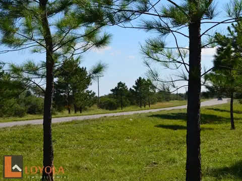 Terreno en Venta en Cerro De Oro, USD 25.000