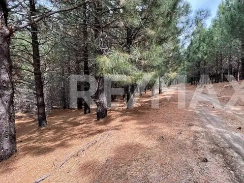 Terreno en Venta en Villa Pehuenia, USD 49.000