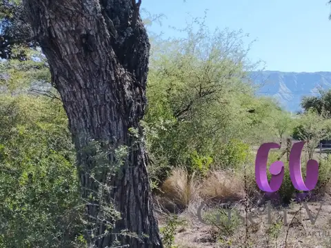 Urbanización Raíces Nativas