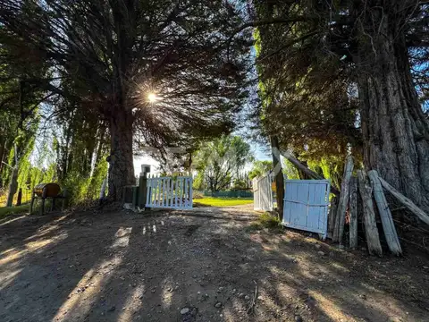 Roberto Sánchez 200