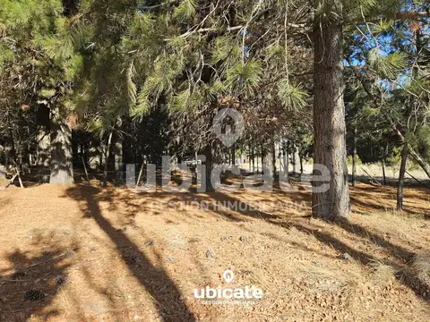 Terreno en Venta de 2505,0 m2