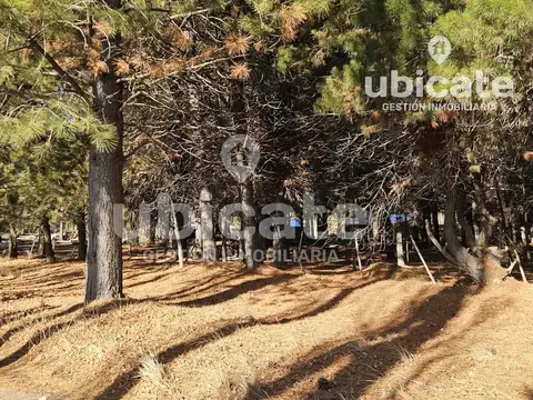 Terreno en Venta 83  mts Fondo