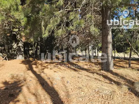 Terreno en Venta de 2505,0 m2