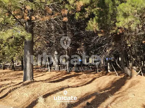 Terreno en Venta 83  mts Fondo