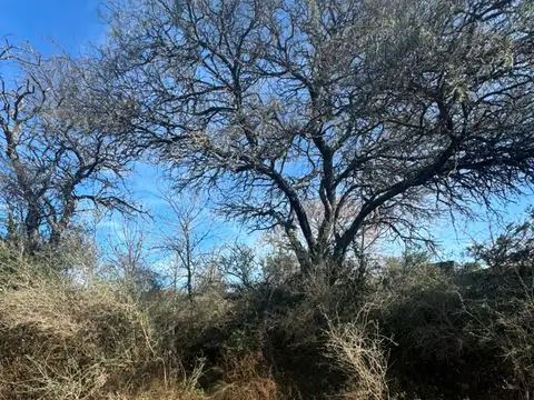 Terreno en Venta de 996,0 m2