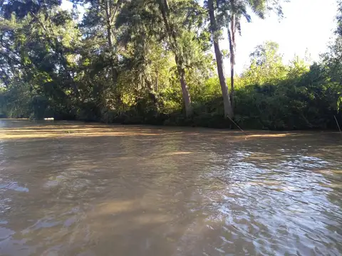 Rio / Arroyo Toro entre Antequera y Gelvez 100