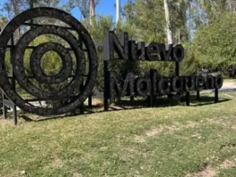 Ruta 20