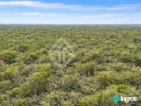 Campo en venta de 6600 has sobre ruta 5, Martínez del Tineo, Salta