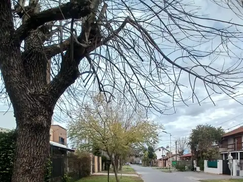Calle 493 bis 100