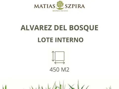 Terreno en Venta en Álvarez Del Bosque, USD 32.000