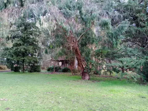 Complejo de cabañas y salón de eventos