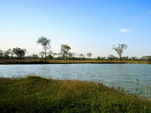 Terreno en Venta en Colonia Popular, USD 12.000