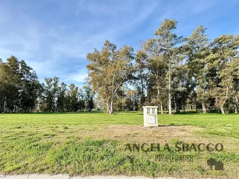 Ruta 192, Pinares, Exaltación De La Cruz