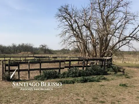 Lomas de Río Luján