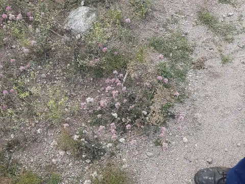 Terreno en Venta de 1000,0 m2