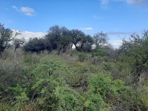 25 de Mayo 100