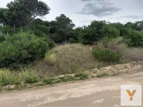 Terreno en Venta de 1007,0 m2