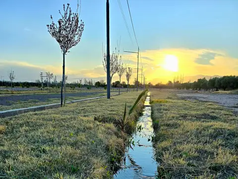 Terreno en Venta de 500,0 m2