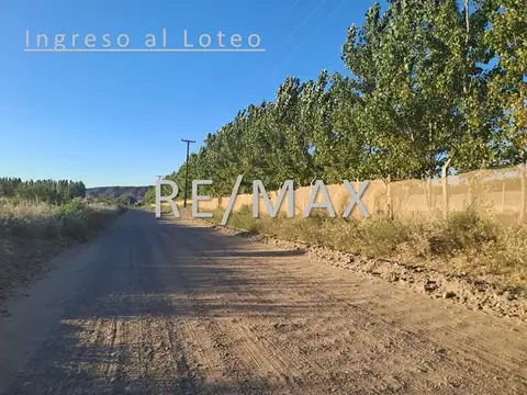 Terreno en Venta de 485,0 m2