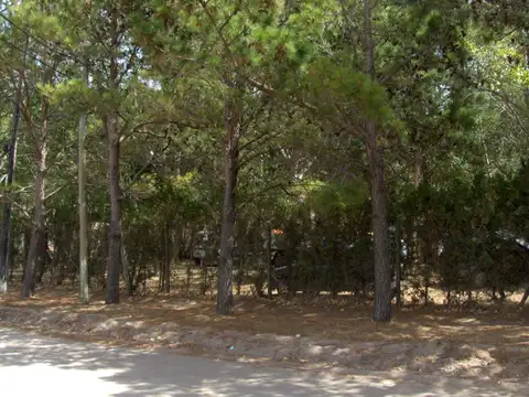 camping, Mar del Tuyú