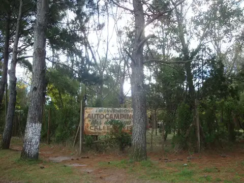 camping, Mar del Tuyú