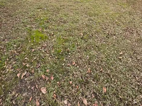 Terreno en Venta de 730,0 m2