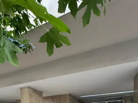Excelente planta en edificio con SUM, 3 dormitorios y dependencia.