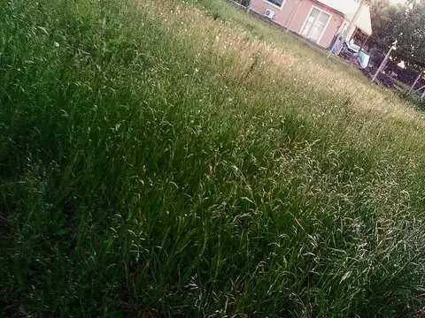 Terreno en Venta en Campana, USD 20.000