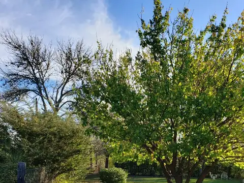 Casa en Venta 10 años