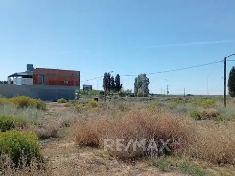 Terreno en Venta en Senillosa, USD 8.000