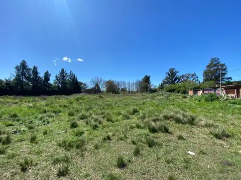 Lote en Venta en Villa Elvira