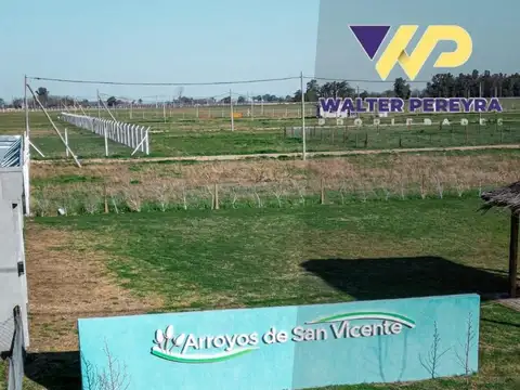 Arroyos De San Vicente