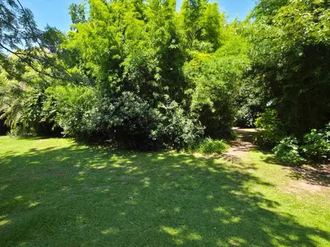 Casa Chalet  en Alquiler en Ricardo Rojas, Tigre, G.B.A. Zona Norte