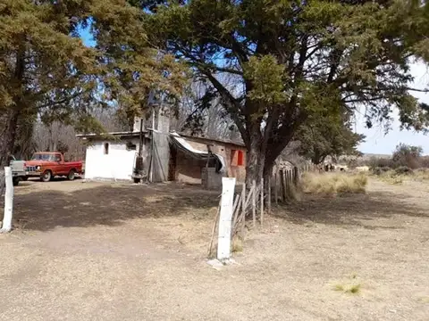 Campo en Venta de 320  ha