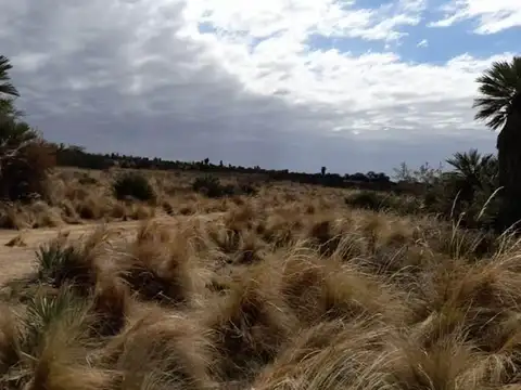 VENDO CAMPO 320 HECTÁREAS