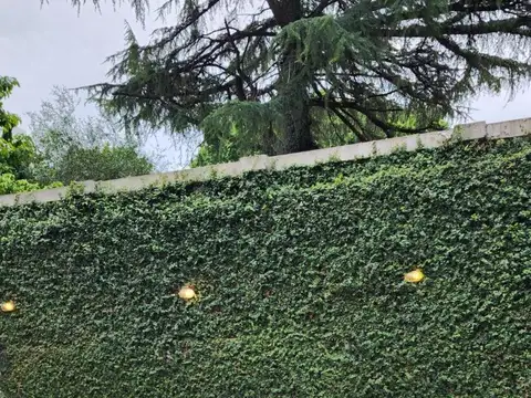 Cochera en venta - 12Mts2 - Belgrano