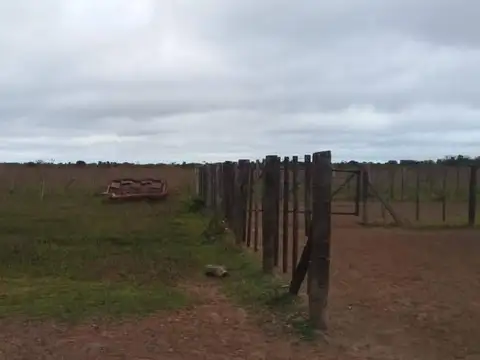 Oportunidad- Campo Ganadero armado sobre ruta en Formosa-
