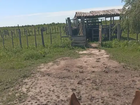 Oportunidad- Campo Ganadero armado sobre ruta en Formosa-