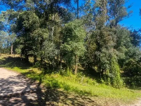 Horco Molle - Los Perales