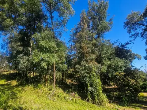 Horco Molle - Los Perales