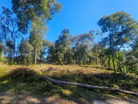 Horco Molle - Los Perales
