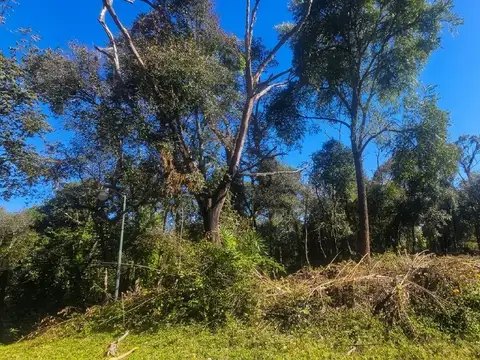 Terreno en Venta 59  mts Fondo