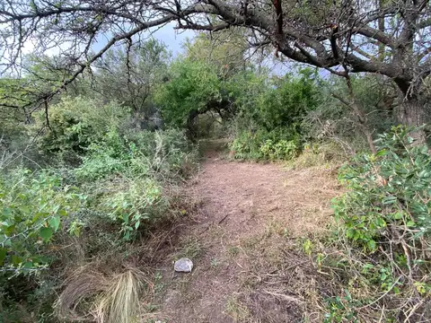 Terreno en Venta de 30000,0 m2