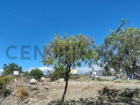 Terreno en Venta de 503,0 m2