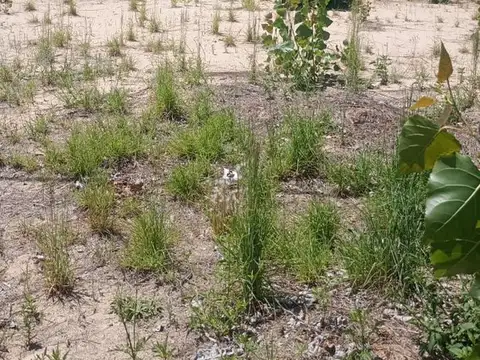 LAGOS DEL LEYES Ruta Provincial 1