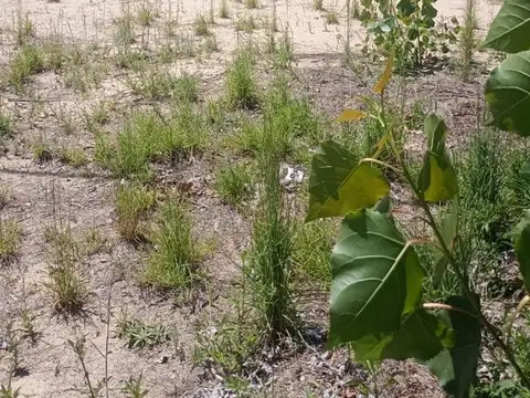 Terreno en Venta en Arroyo Leyes, USD 14.000