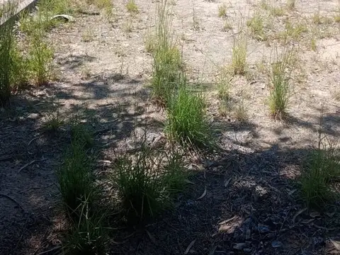 Terreno en Venta de 675,0 m2