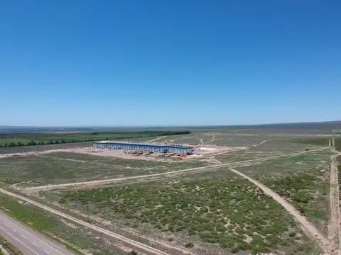 Ruta 7